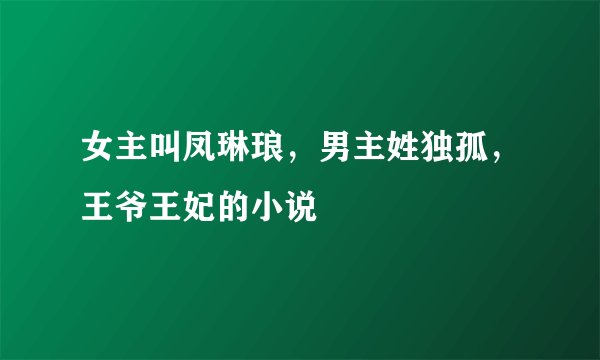 女主叫凤琳琅，男主姓独孤，王爷王妃的小说
