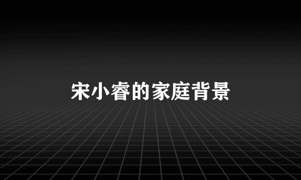宋小睿的家庭背景