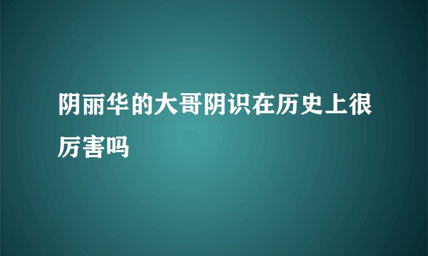阴丽华的大哥阴识在历史上很厉害吗