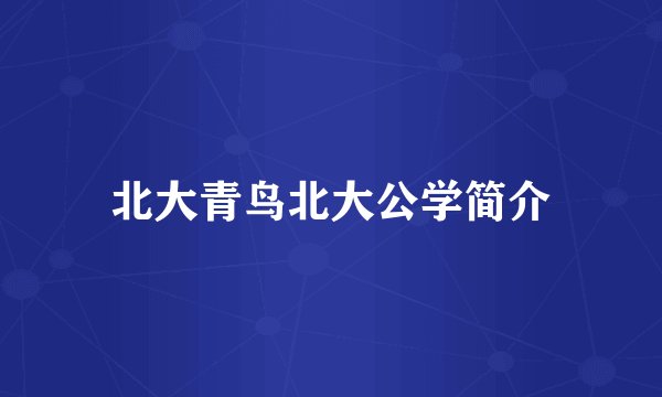 北大青鸟北大公学简介