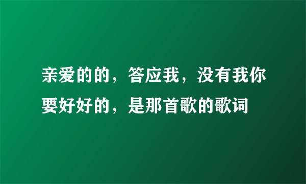 亲爱的的，答应我，没有我你要好好的，是那首歌的歌词