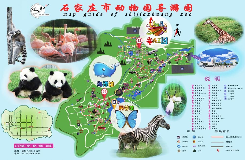 石家庄动物园最佳路线