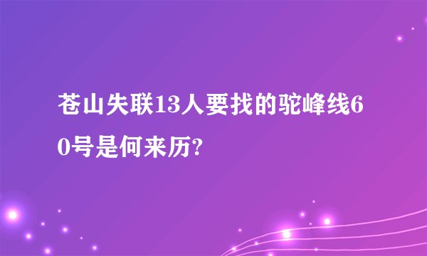苍山失联13人要找的驼峰线60号是何来历?