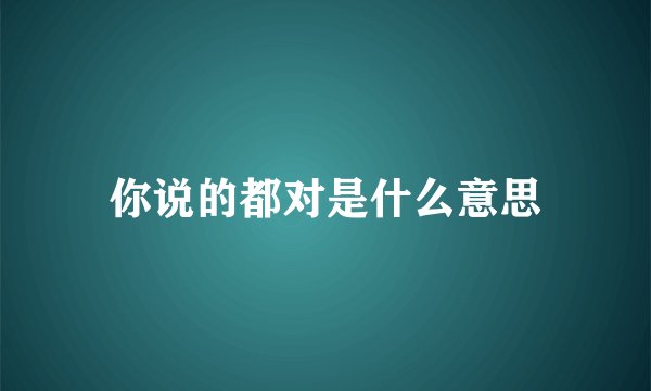 你说的都对是什么意思