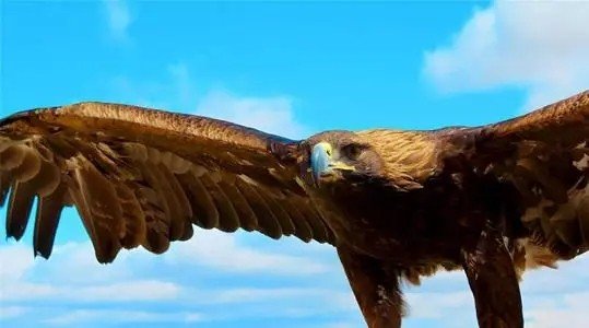 《丝绸的故事》葛翠琳著读后感怎么写?