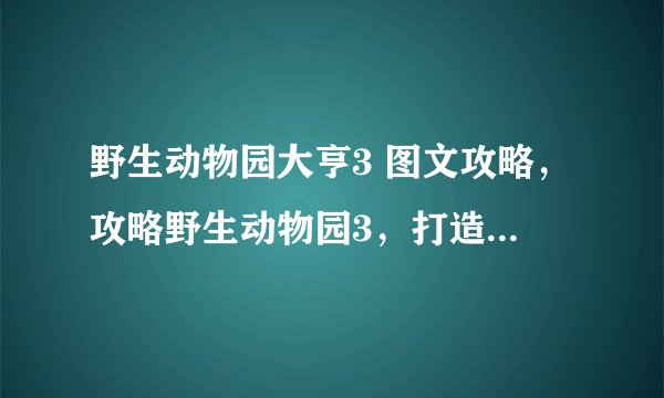 野生动物园大亨3 图文攻略，攻略野生动物园3，打造你的动物乐园