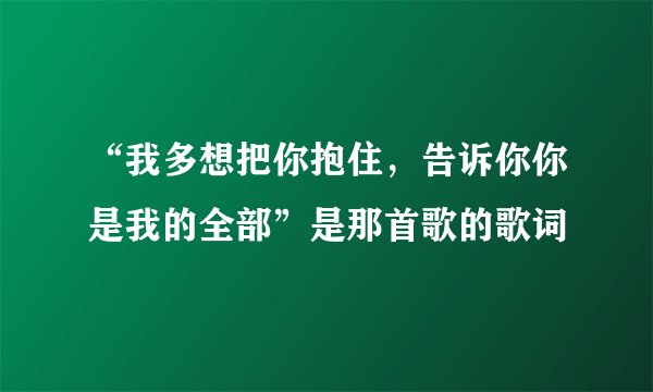 “我多想把你抱住，告诉你你是我的全部”是那首歌的歌词