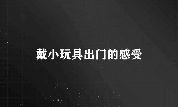 戴小玩具出门的感受