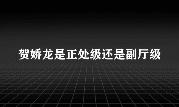 贺娇龙是正处级还是副厅级