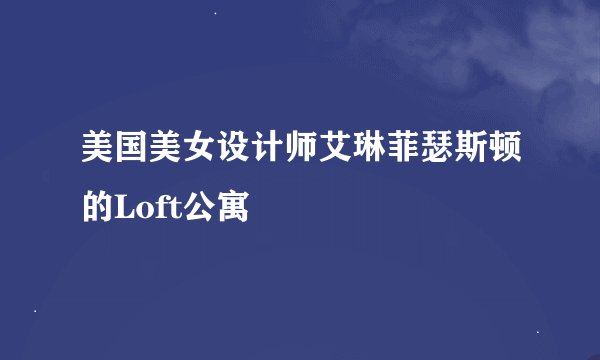 美国美女设计师艾琳菲瑟斯顿的Loft公寓
