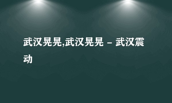 武汉晃晃,武汉晃晃 - 武汉震动