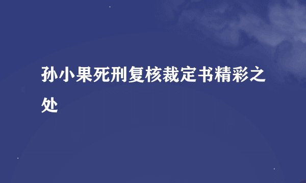 孙小果死刑复核裁定书精彩之处
