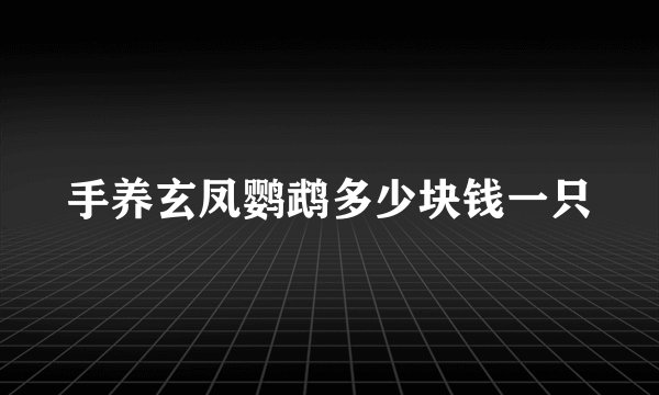 手养玄凤鹦鹉多少块钱一只