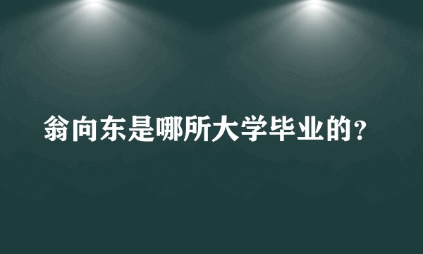 翁向东是哪所大学毕业的？