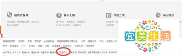 怎样进入淘宝网官方招聘网站求职