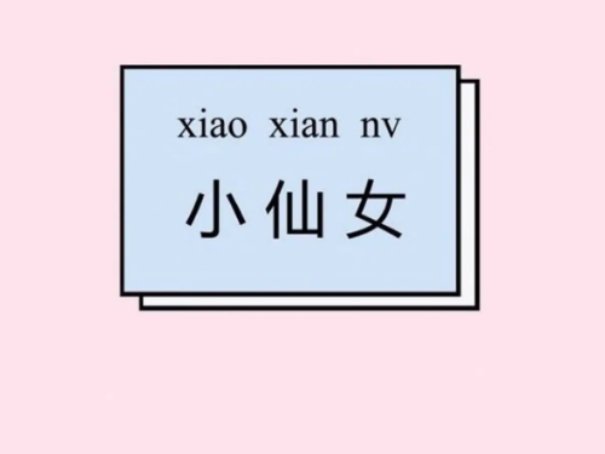 小仙女讽刺的是哪类人