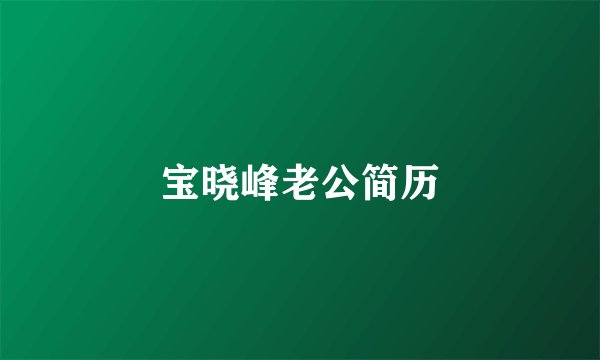 宝晓峰老公简历