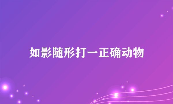如影随形打一正确动物