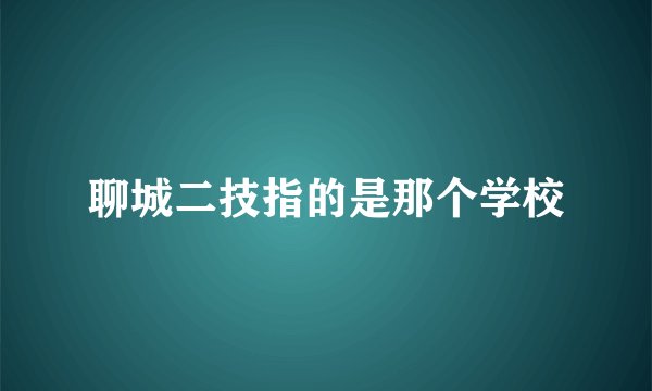 聊城二技指的是那个学校