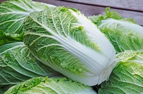 一颗大白菜还是一棵大白菜