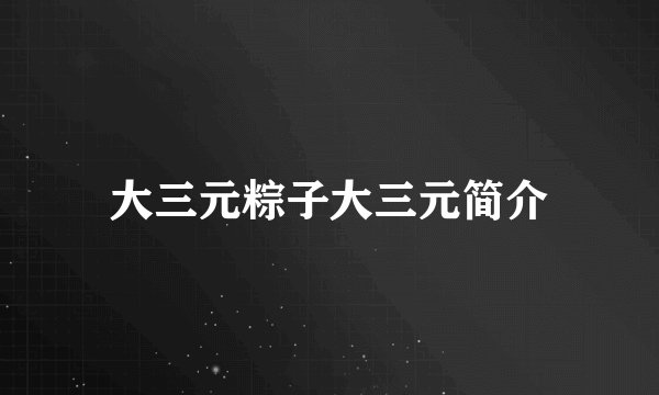 大三元粽子大三元简介