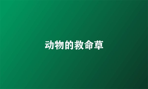 动物的救命草