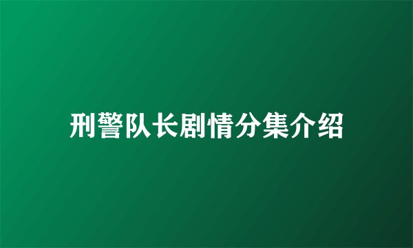 刑警队长剧情分集介绍