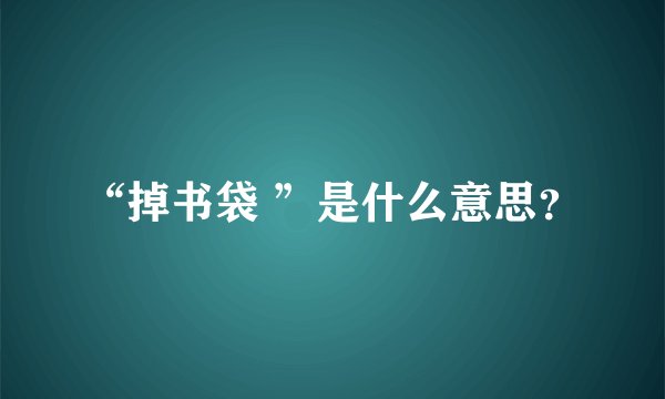 “掉书袋 ”是什么意思？