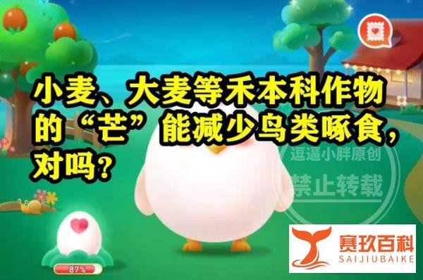 蚂蚁新村答案：小麦大麦等禾本科作物的芒能减少鸟类啄食对不对？