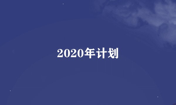 2020年计划