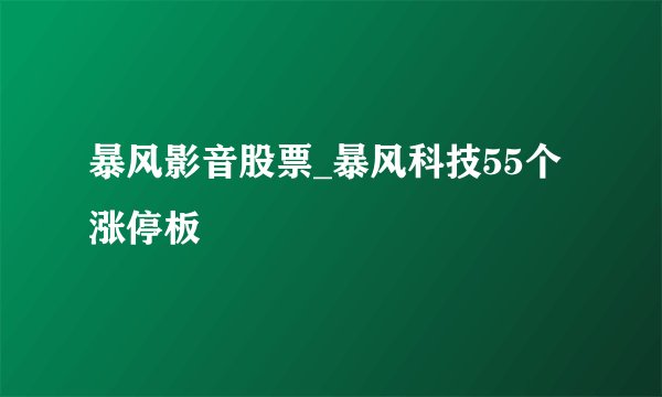 暴风影音股票_暴风科技55个涨停板