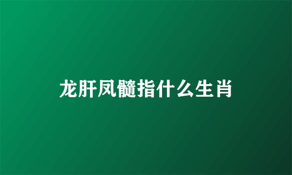龙肝凤髓指什么生肖