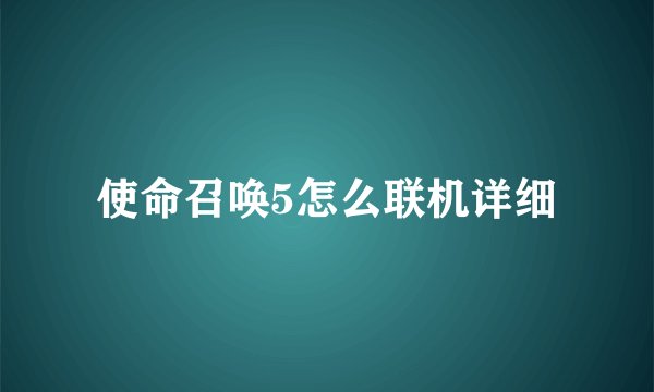 使命召唤5怎么联机详细