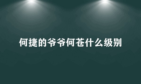 何捷的爷爷何苍什么级别