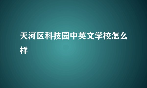 天河区科技园中英文学校怎么样