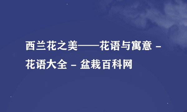 西兰花之美——花语与寓意 - 花语大全 - 盆栽百科网