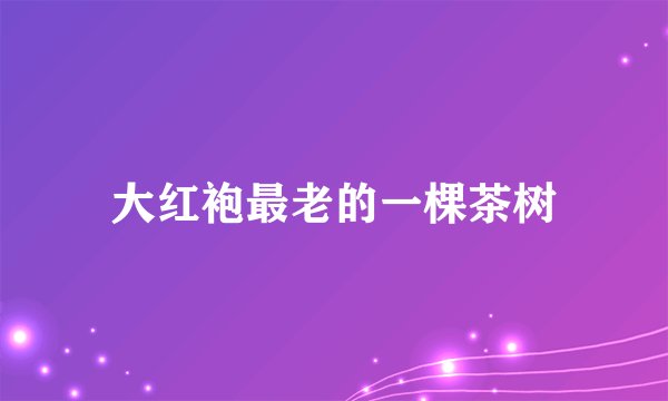 大红袍最老的一棵茶树