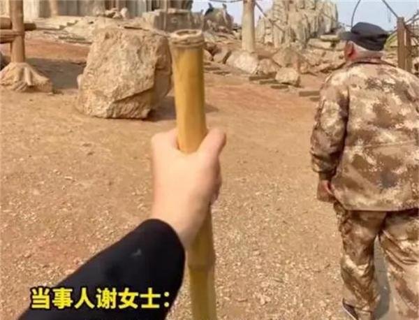 猴子捡走游客手机居然还打电话！网友：猴哥需要充电器！