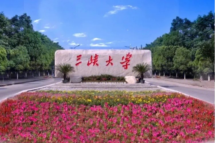 三峡大学临床医学2023分数线