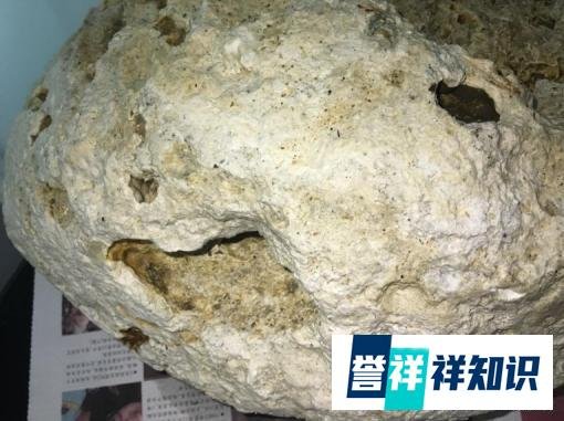 渔民捡到价值千万龙涎香 这是咋情况？