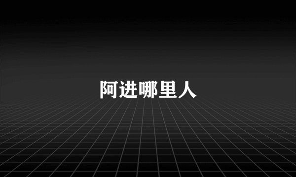 阿进哪里人