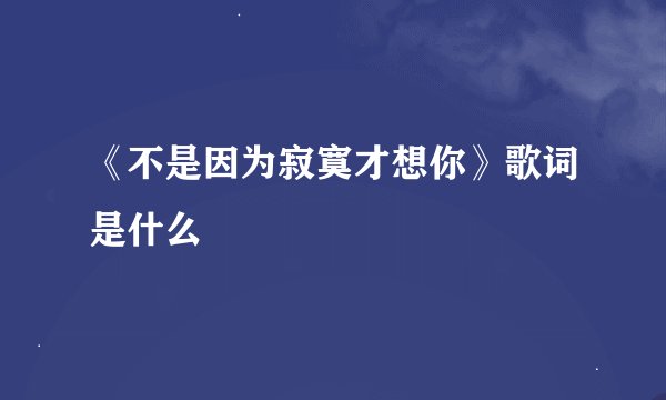 《不是因为寂寞才想你》歌词是什么