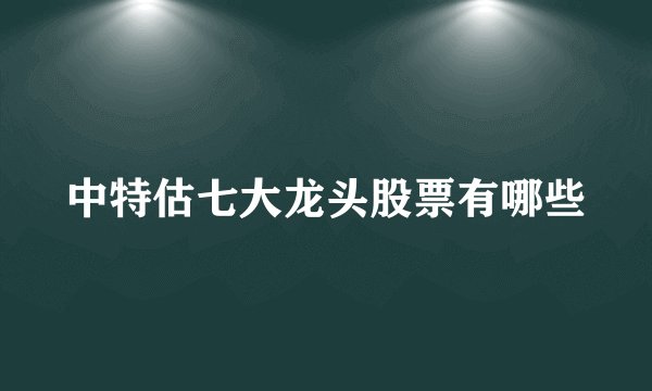 中特估七大龙头股票有哪些