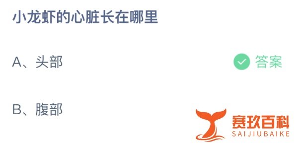 小龙虾的心脏长在哪里