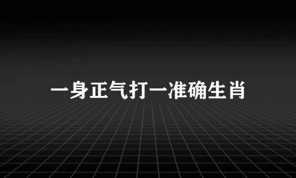 一身正气打一准确生肖