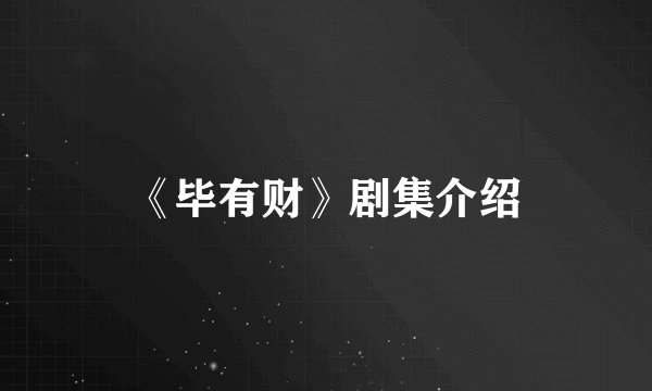 《毕有财》剧集介绍