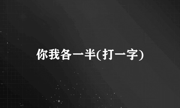 你我各一半(打一字)
