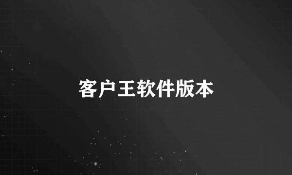 客户王软件版本