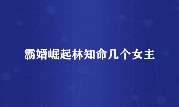 霸婿崛起林知命几个女主