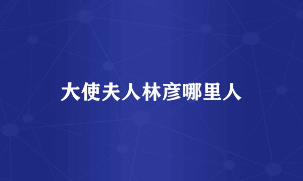 大使夫人林彦哪里人